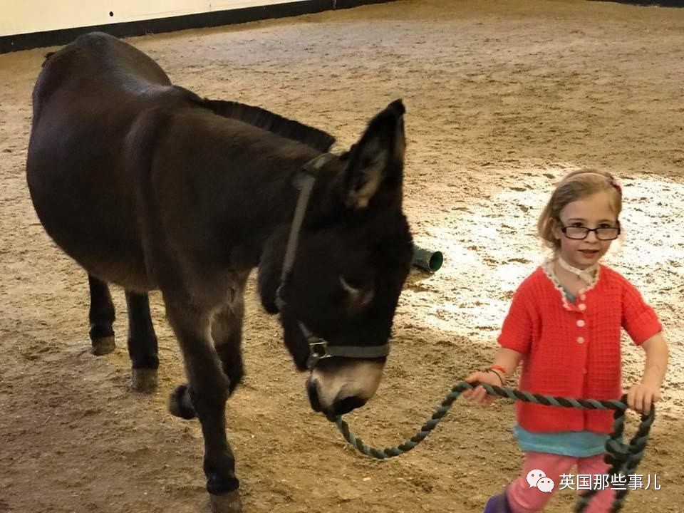 二驢子最新事件揭秘，事件全貌大揭秘！
