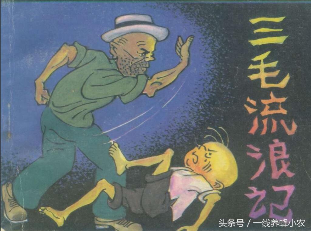 上海三毛最新動(dòng)態(tài)，自然美景探索之旅啟幕