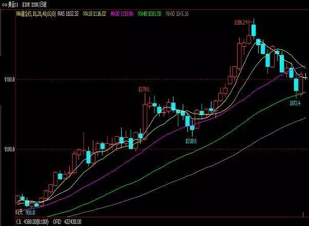 豆油最新行情概覽，市場走勢分析與未來展望