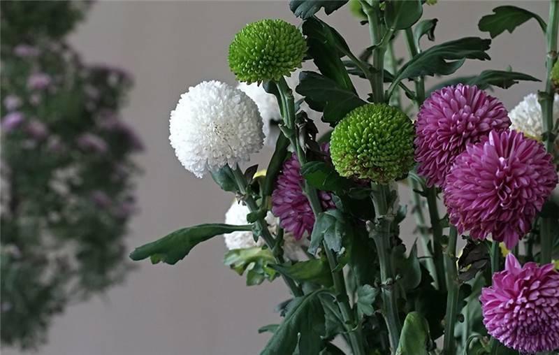 最新娛樂頭條，躍上成功舞臺的魔力之旅，自信與成就感的碰撞