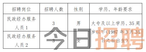 慶陽最新招聘揭秘，小巷中的特色小店，探索未知寶藏的職場之旅