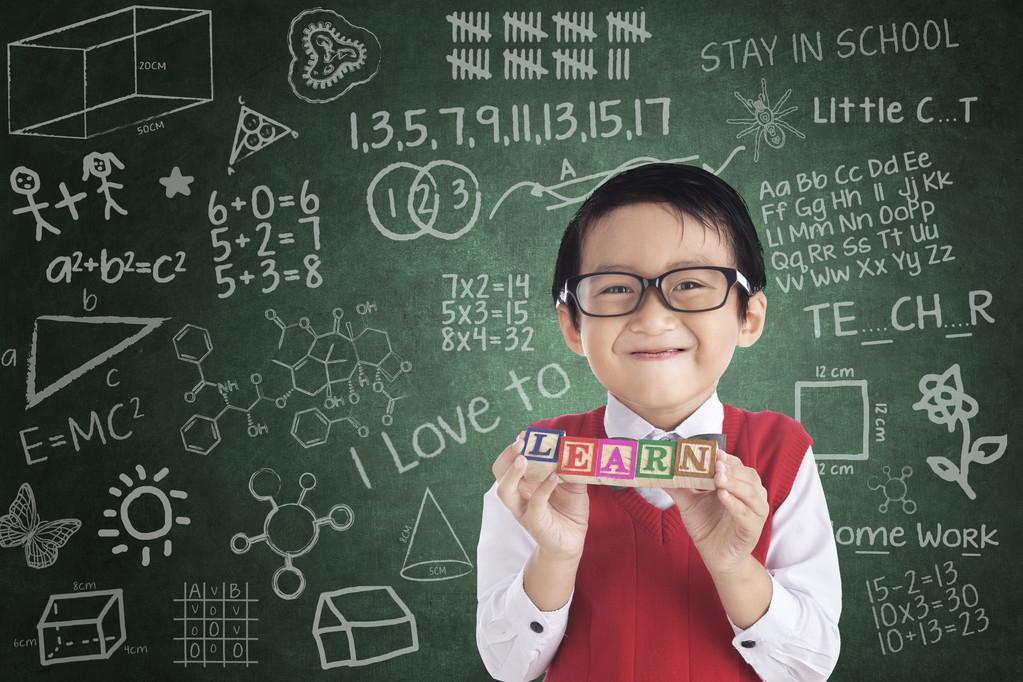 小學(xué)數(shù)學(xué)最新課程標(biāo)準(zhǔn)，深度解析與觀點(diǎn)闡述