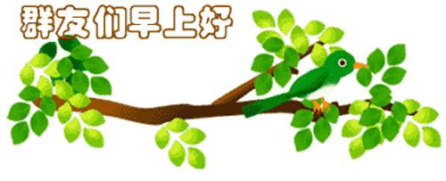 最新清晨祝福短信，晨曦中的溫暖問候，傳遞美好祝愿與關(guān)懷
