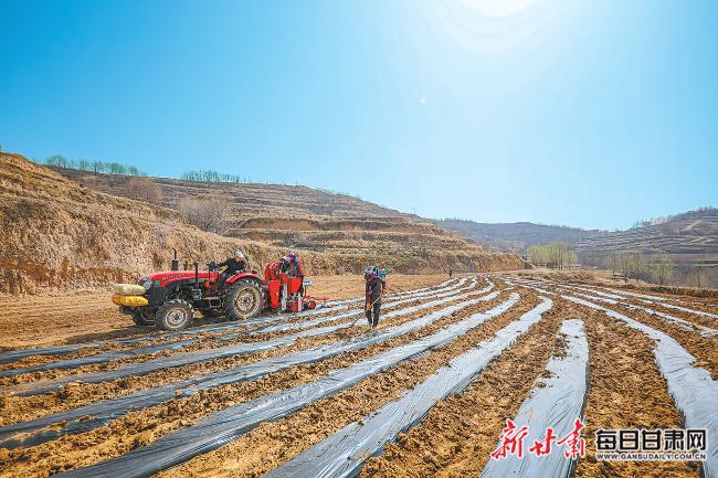 秦安最新新聞，城市溫情日常溫馨小事報道