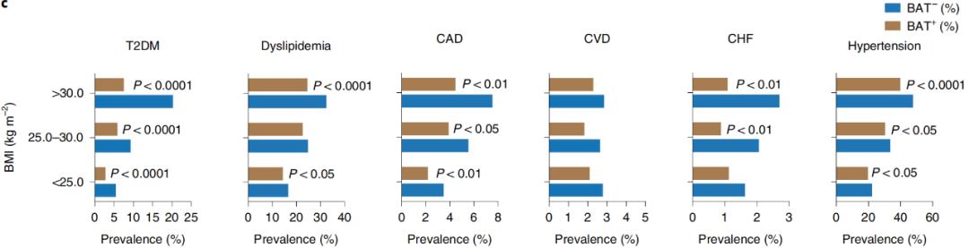 腦疾病最新研究，重塑大腦信心與成就感之路