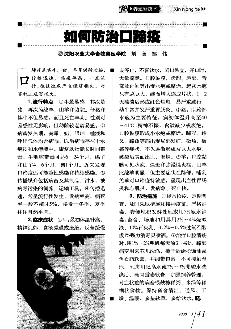 口蹄疫最新科研，自然探險(xiǎn)與內(nèi)心平和的追尋之旅