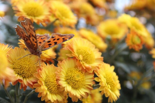 番茄最新作品，用學習之鑰，開啟自信與成就的大門