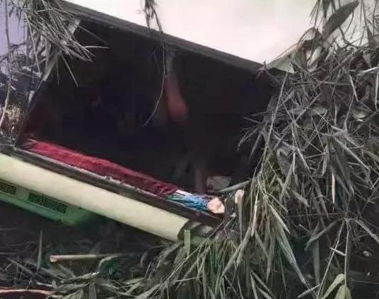 最新車禍新聞深度分析與觀點(diǎn)闡述