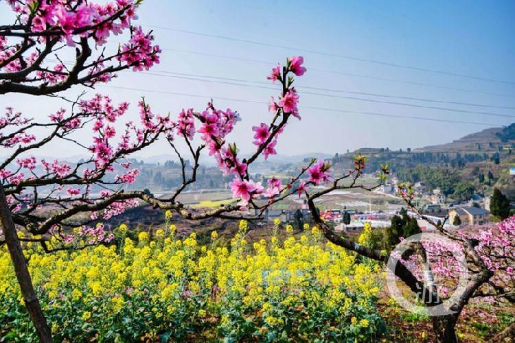 合川最新科技新聞，高科技產(chǎn)品引領(lǐng)未來生活潮流