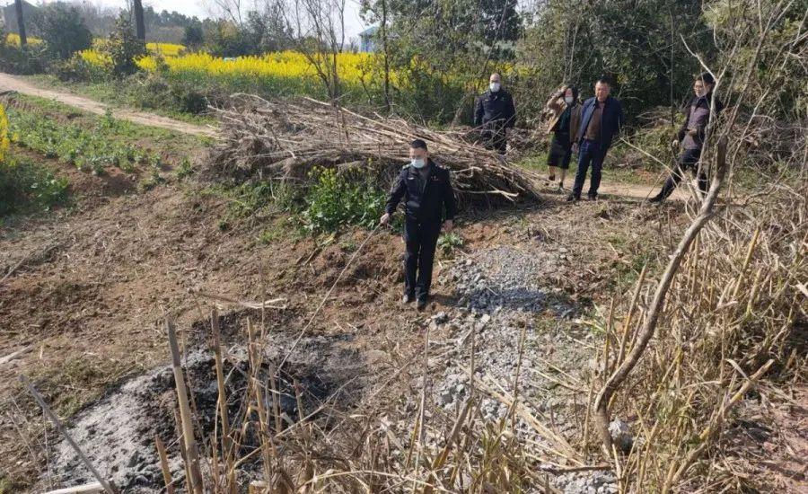 溧陽最新天氣，氣象變遷與地域影響探究