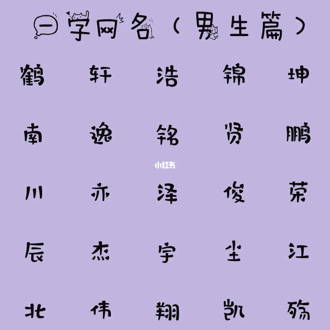 最新男生網(wǎng)名，時(shí)代潮流與虛擬身份的完美融合塑造