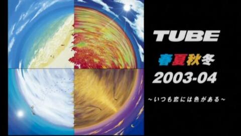 Tube03最新動態(tài)，探索要點、趨勢與發(fā)展