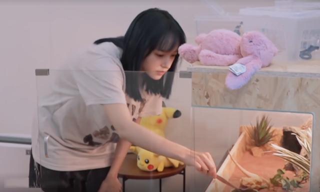 程瀟最新綜藝節(jié)目，心動瞬間，不容錯過！?