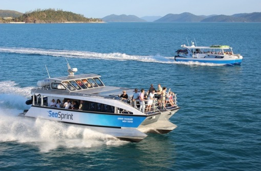 時代背景下的璀璨星辰，最新號號天堂綜述