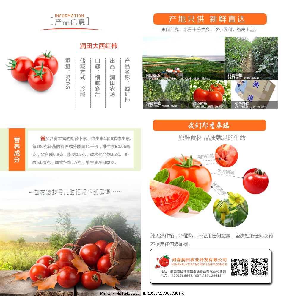 安徽西紅柿產地探秘，自然美景與鮮美西紅柿的邂逅之旅