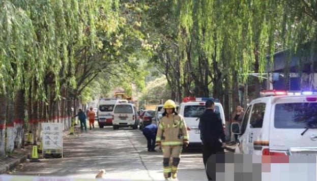 安陽最新事件，溫馨日常與不期而遇的友情之旅