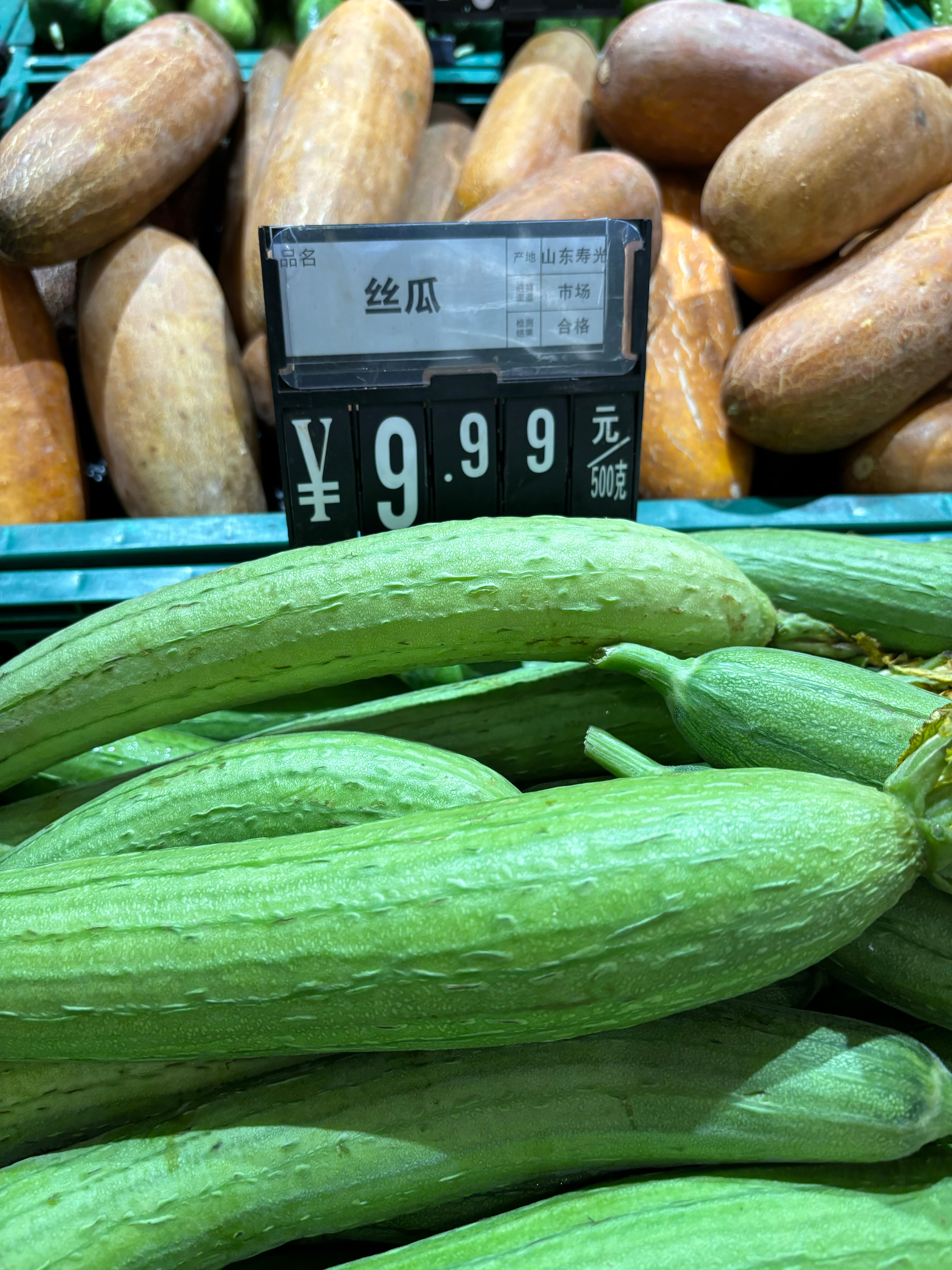 絲瓜價格最新行情??大揭秘！火爆價格走勢一網打盡??