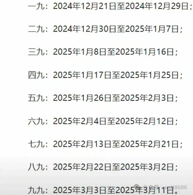 最新久久網(wǎng)2025，友情小船與溫馨日常的交織