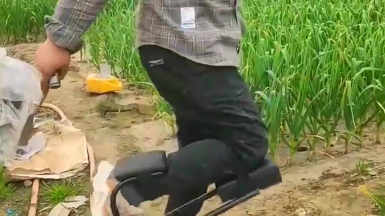 最新挖蒜工具，心靈與自然的完美交融