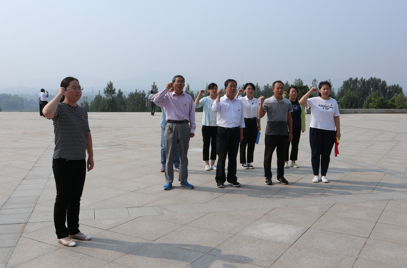 肥城房產最新動態(tài)，市場走勢、熱門區(qū)域與案例分析