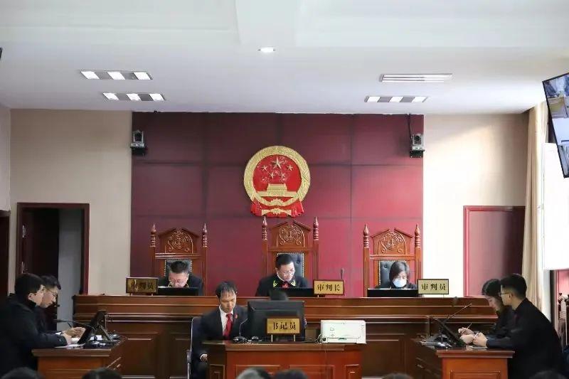 偏關最新案件深度解析，揭示真相，關注社會公正與公平