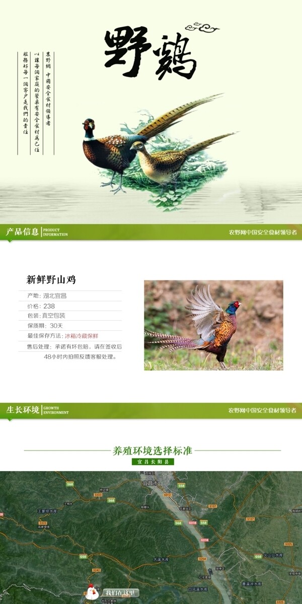 深度剖析，最新山雞的背景、事件與地位概述