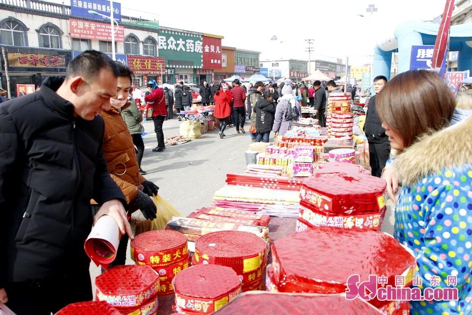 淘元素最新，淘淘的奇妙冒險之旅與友情的溫暖體驗