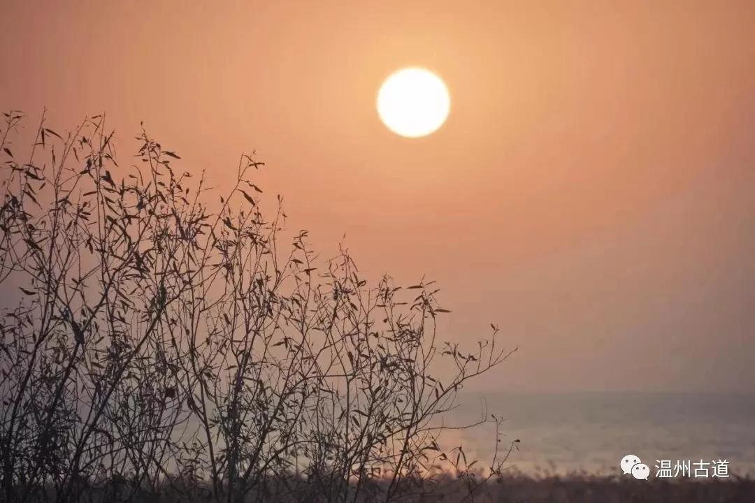 最新瘟疫詩詞，時代之聲與人文關(guān)懷的交融展現(xiàn)