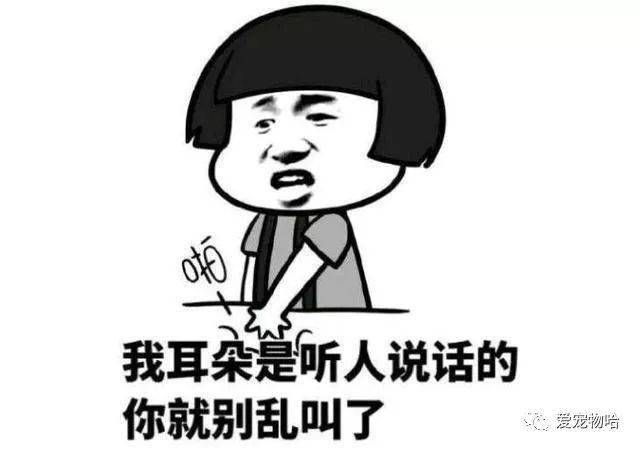 最新枕邊笑話，科技小寶貝，生活添樂趣