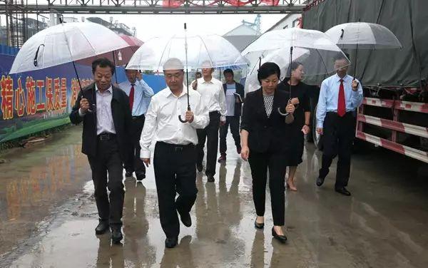 最新金丹科技引領(lǐng)科技新潮流，開啟未來之門！
