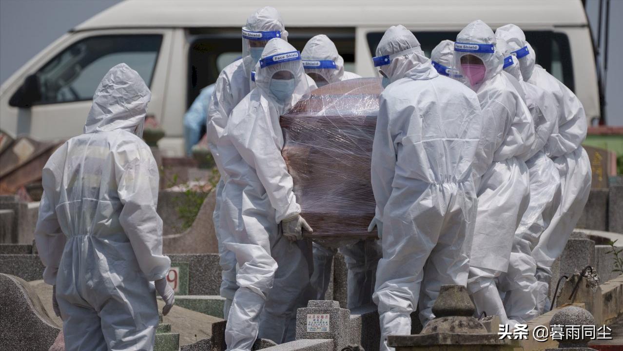 最新疫病統(tǒng)計(jì)步驟指南與最新統(tǒng)計(jì)更新