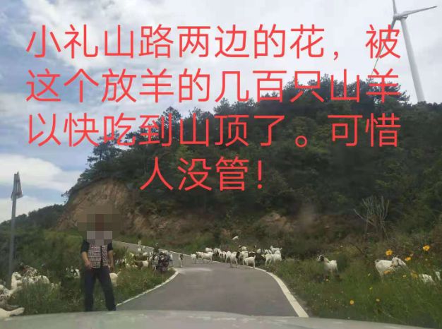 大悟最新路，探索未知，自信成就夢想之旅的啟程