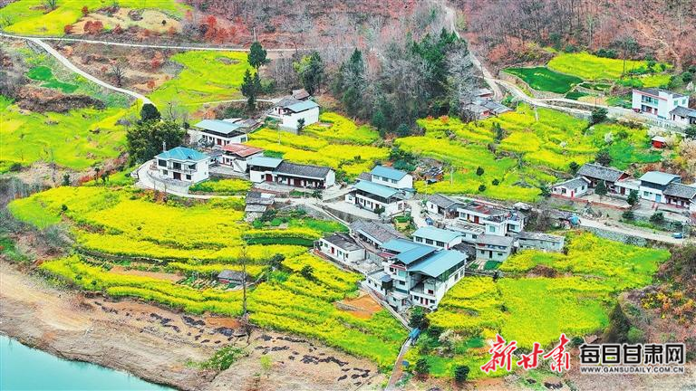 揭秘文縣，歷史背景、重大事件與時代地位全景展示