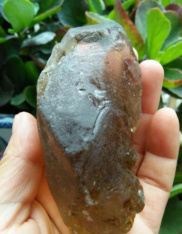 最新鑒定法，揭示友情的印記與家的溫馨