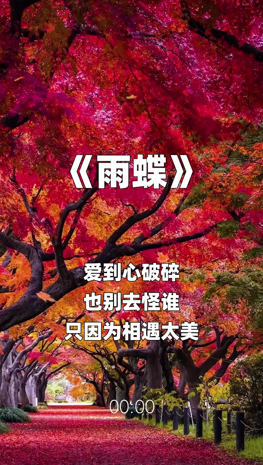 雨蝶最新步驟指南，如何完成任務(wù)或?qū)W習(xí)技能？