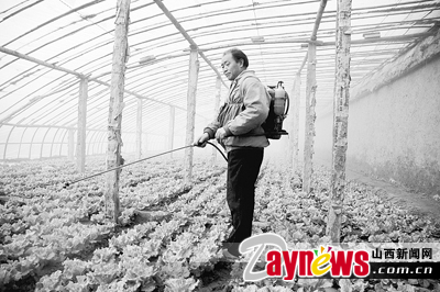 最新農(nóng)藥抽檢結(jié)果出爐，守護(hù)農(nóng)田安全，你我他的共同責(zé)任