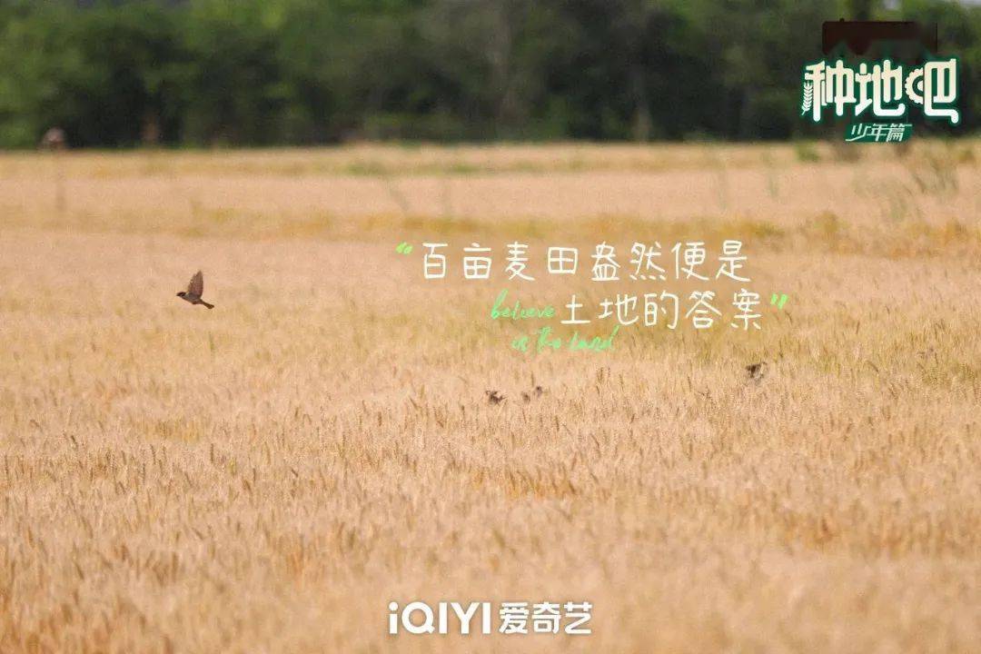 種地吧最新語(yǔ)錄，探索未來(lái)農(nóng)業(yè)的高科技魅力