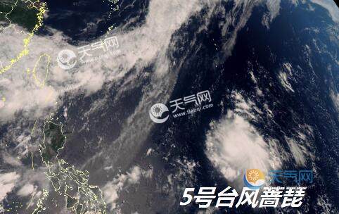 最新實(shí)時(shí)臺(tái)風(fēng)風(fēng)力查詢指南，風(fēng)力信息及查詢步驟全解析