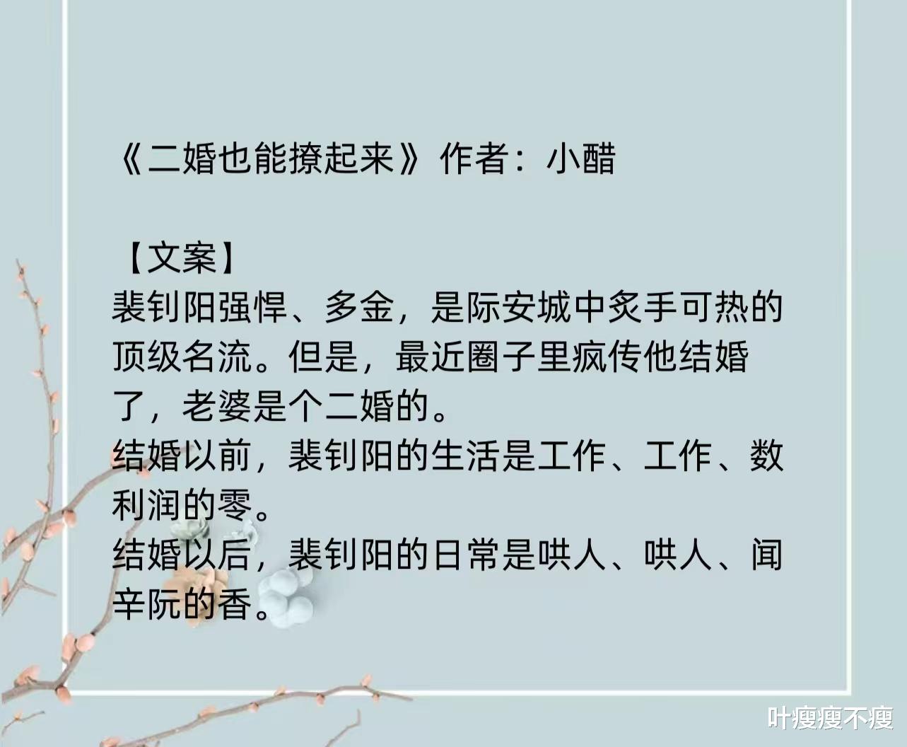 最新二婚小說，小巷深處的浪漫故事