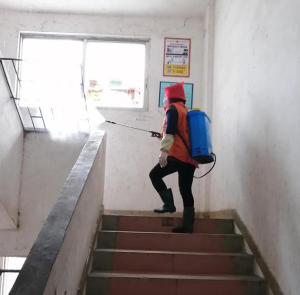 蓬江區(qū)最新高科技住宅，重塑未來(lái)生活體驗(yàn)的首選之地